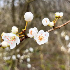 23-03-12 10-56-24 4775